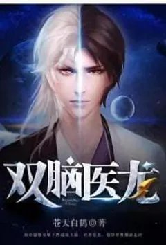 双脑医龙